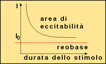 potenziale di eccitazione